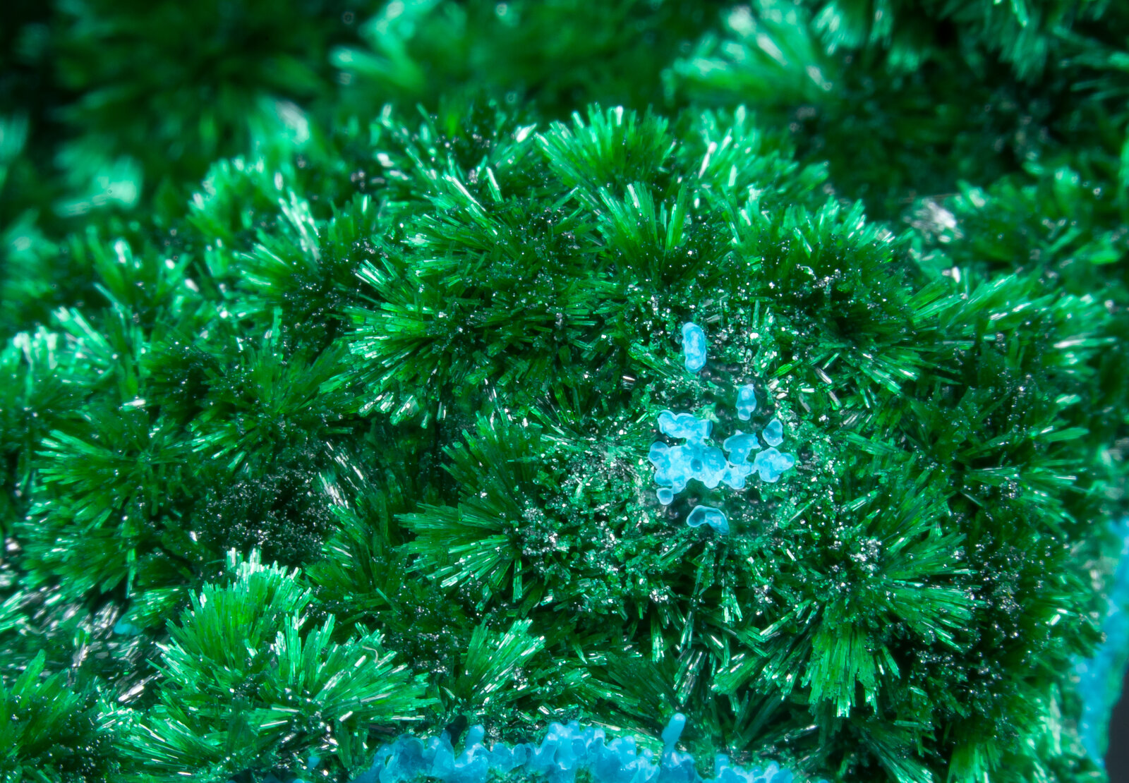 specimens/s_imagesAN1/Malachite-TB48AN1d.jpg