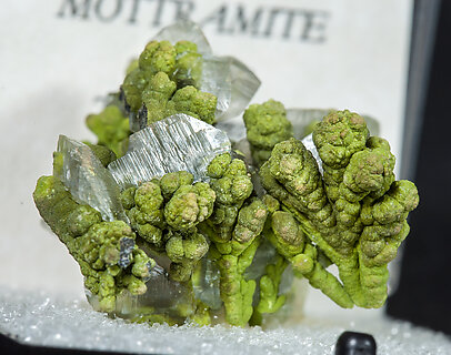 Mottramite with Calcite. 