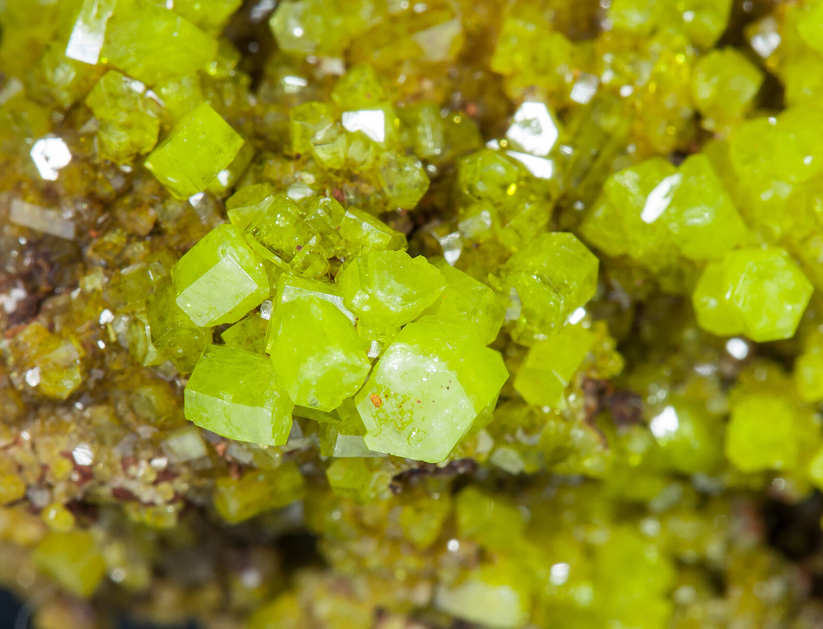 specimens/s_imagesAN1/Pyromorphite-TD16AN1d.jpg