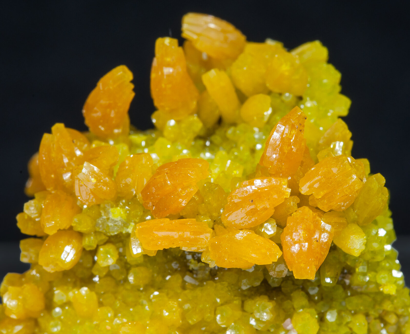 specimens/s_imagesAN1/Pyromorphite-TE26AN1d.jpg
