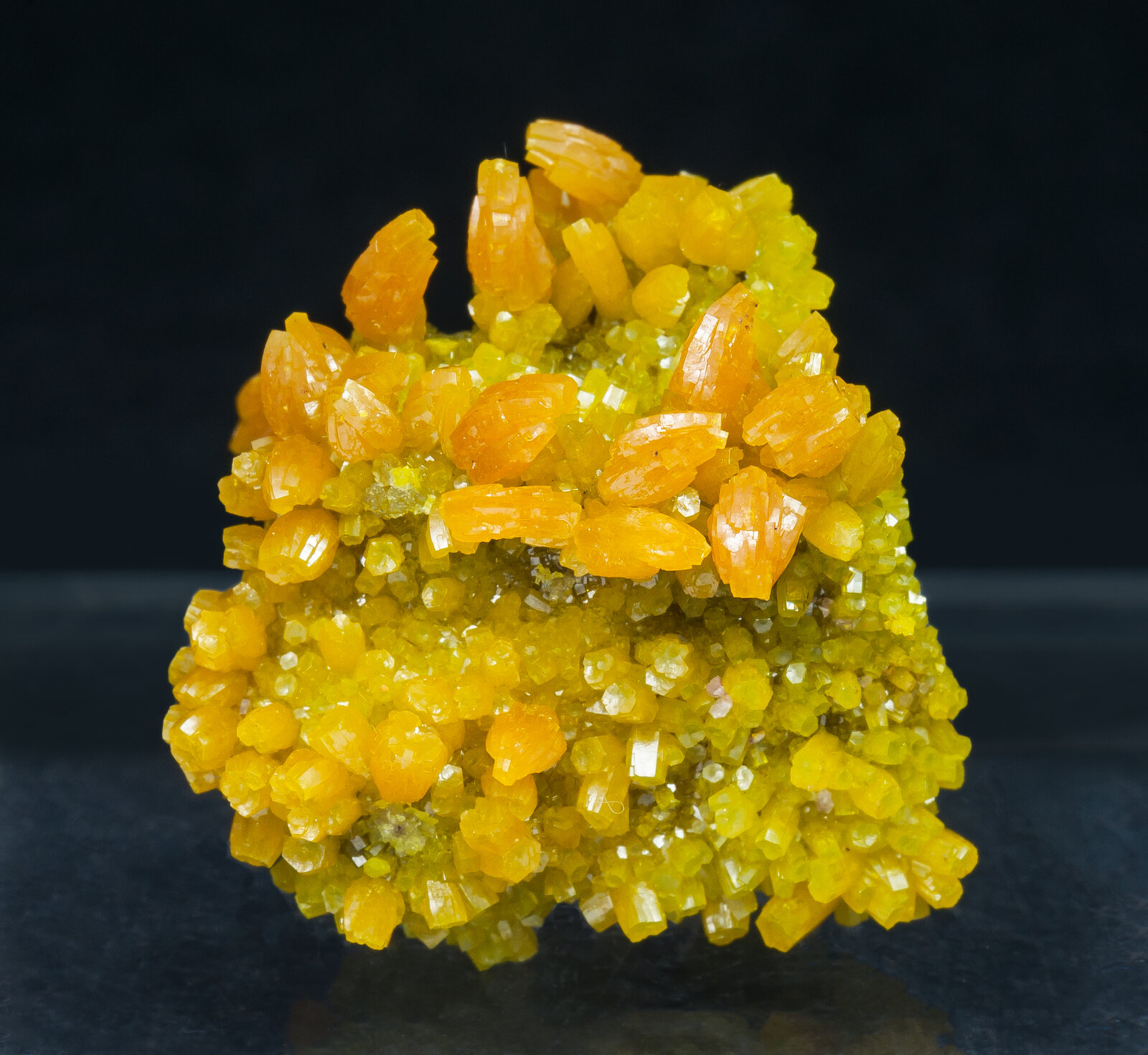 specimens/s_imagesAN1/Pyromorphite-TE26AN1f.jpg