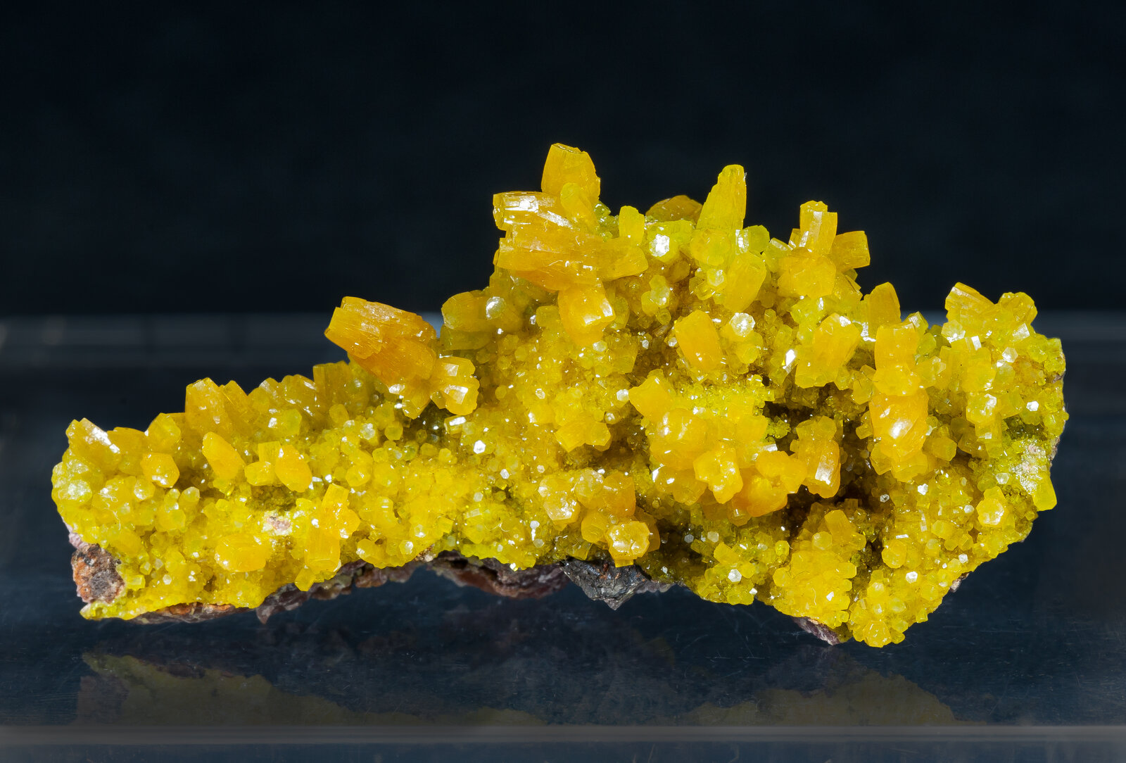 specimens/s_imagesAN1/Pyromorphite-TR26AN1f.jpg
