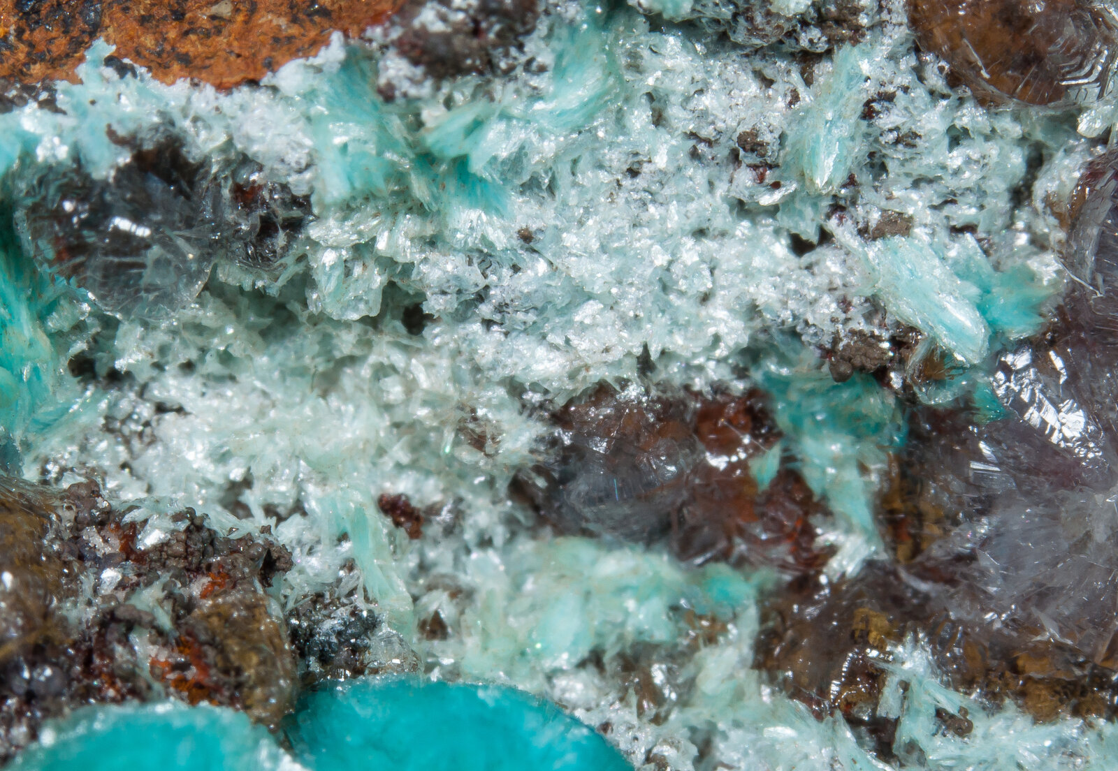 specimens/s_imagesAN1/Rosasite-TA48AN1d2.jpg