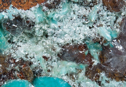 Rosasite with Aurichalcite, Hydrozincite and Hemimorphite. 