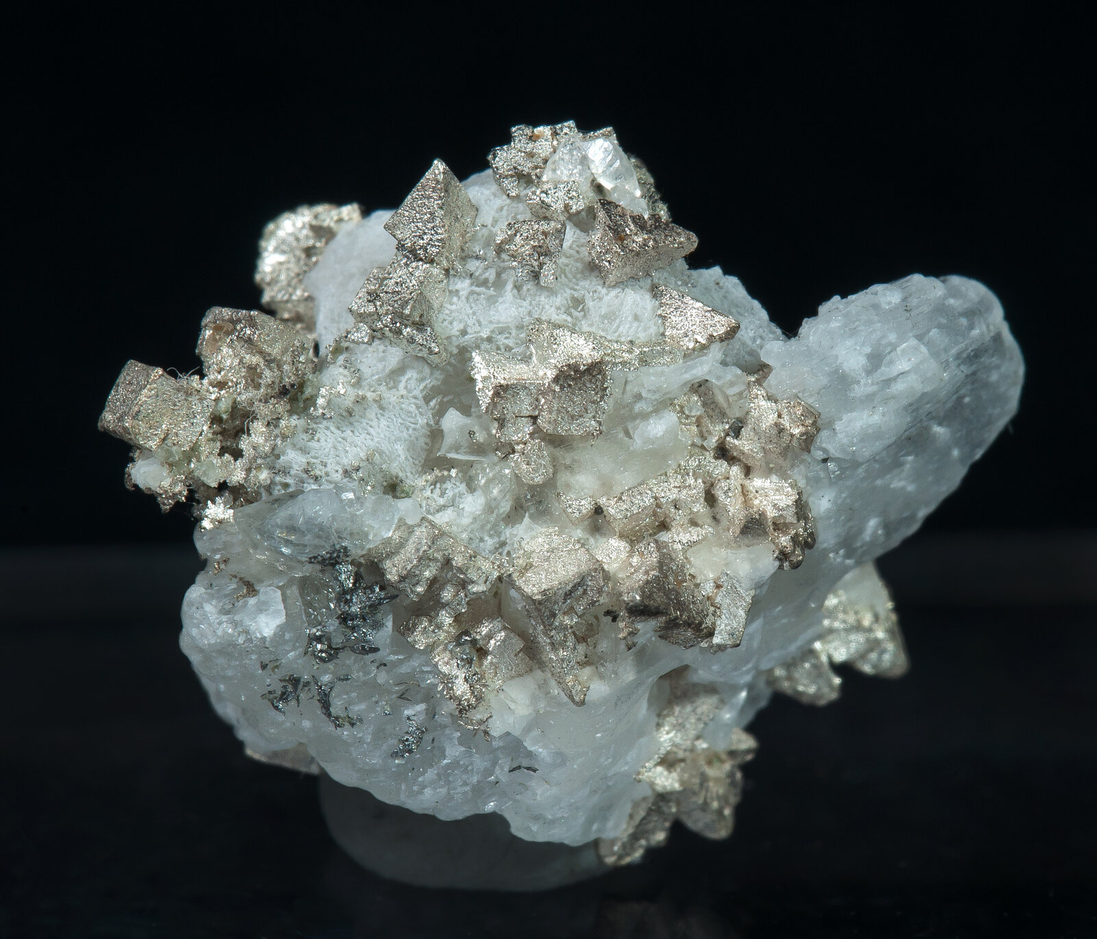 specimens/s_imagesAN1/Silver-TV87AN1r.jpg