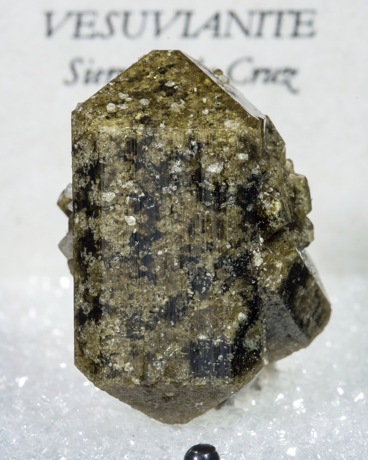 specimens/s_imagesAN1/Vesuvianite-TT13AN1f2.jpg