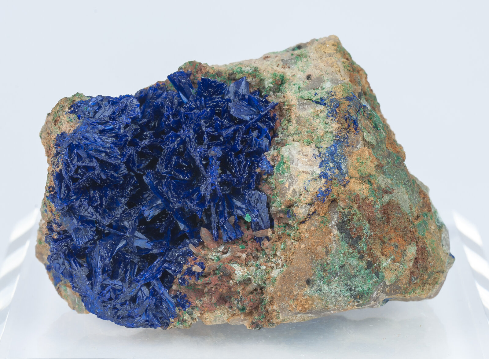 specimens/s_imagesAN2/Azurite-TF49AN2f.jpg