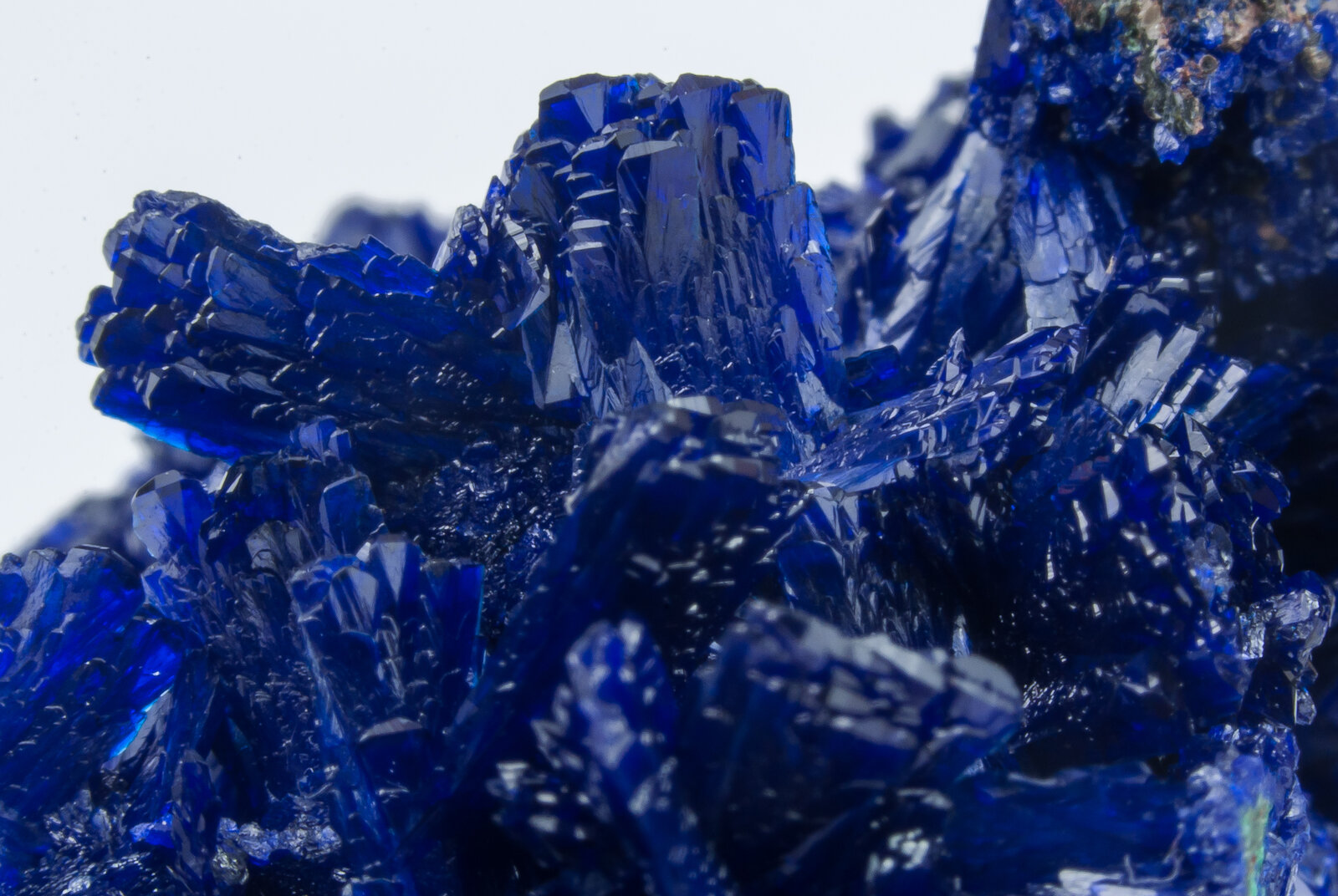 specimens/s_imagesAN2/Azurite-TF66AN2d.jpg