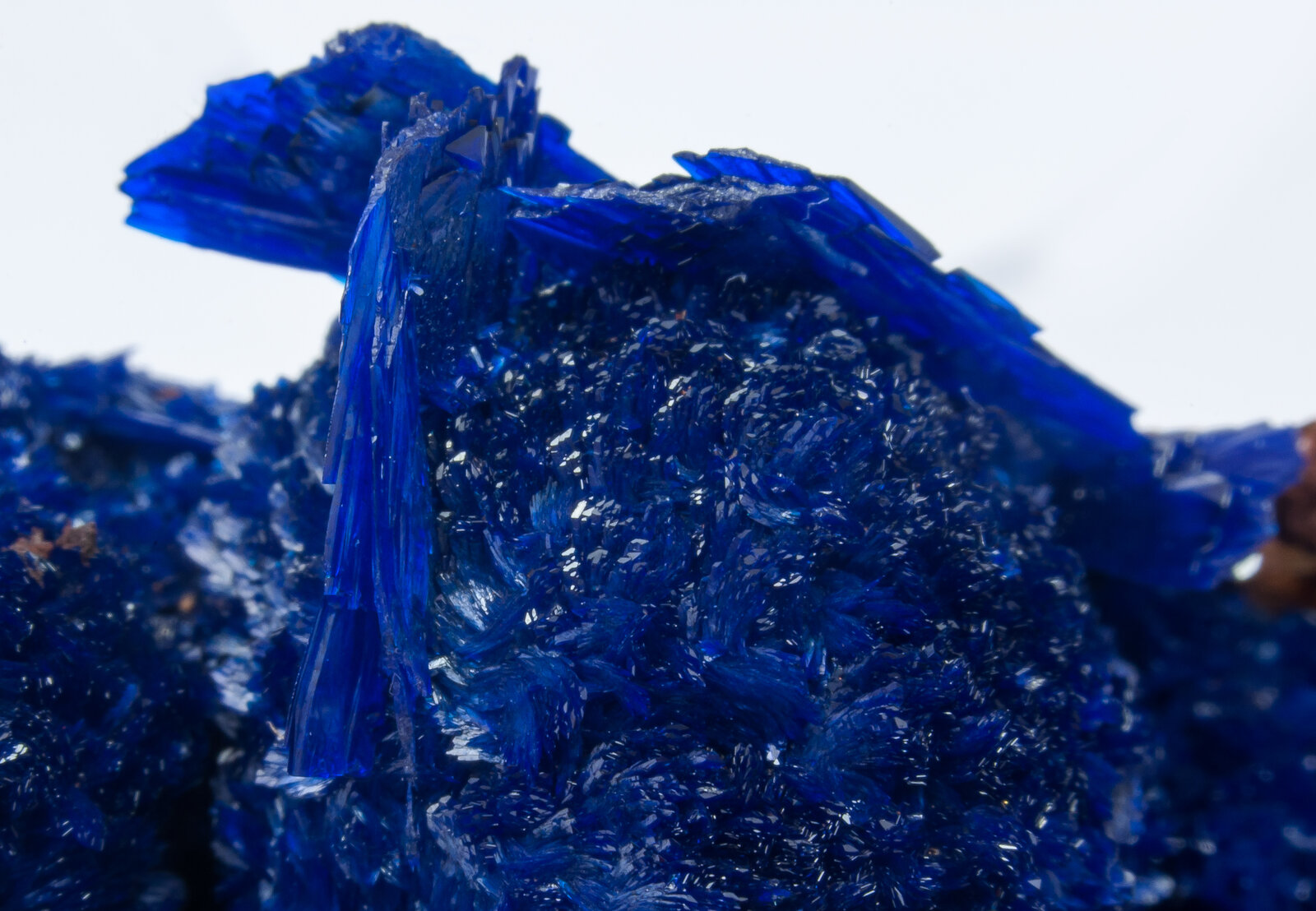 specimens/s_imagesAN2/Azurite-TK29AN2d.jpg