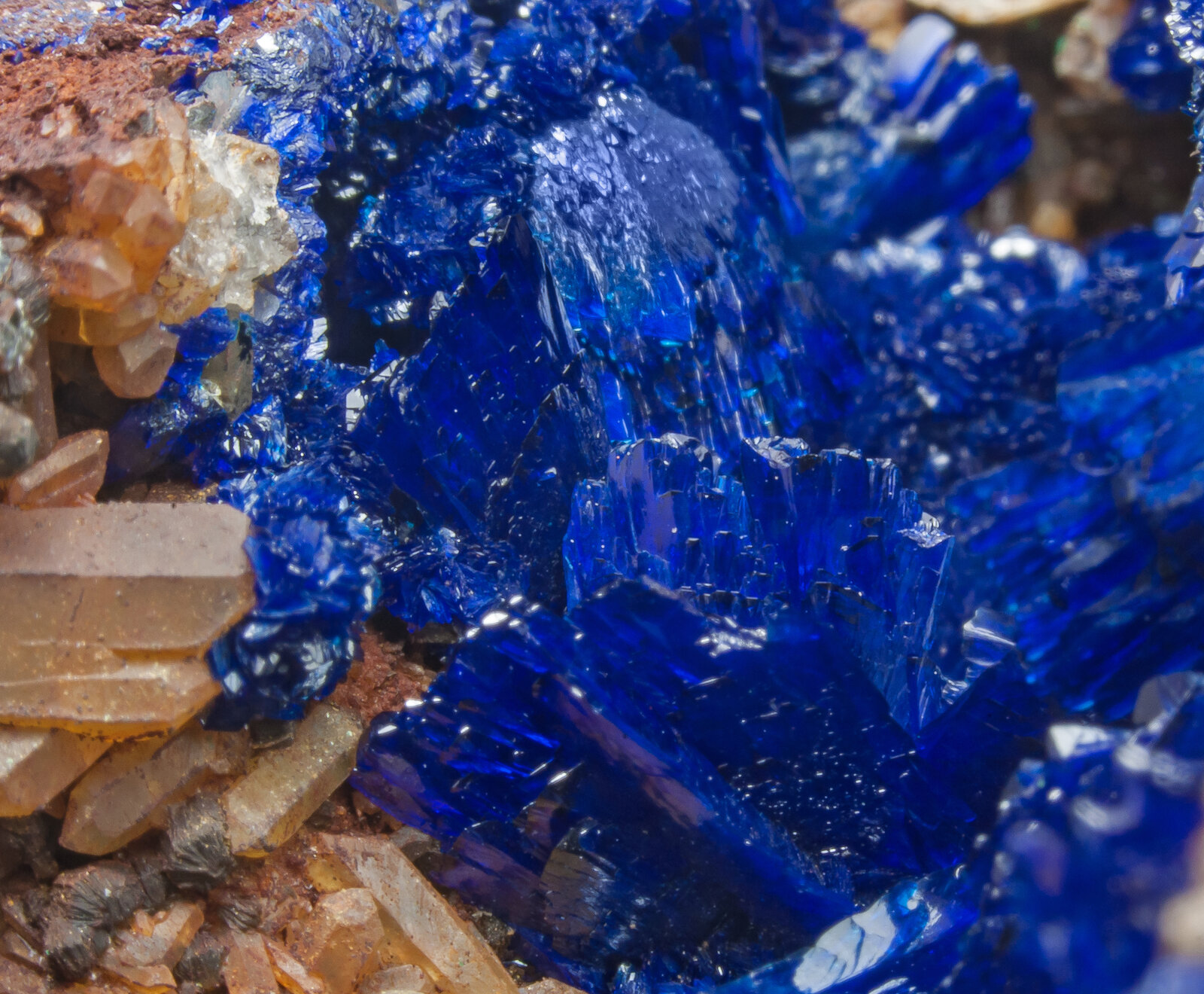 specimens/s_imagesAN2/Azurite-TQ68AN2d2.jpg