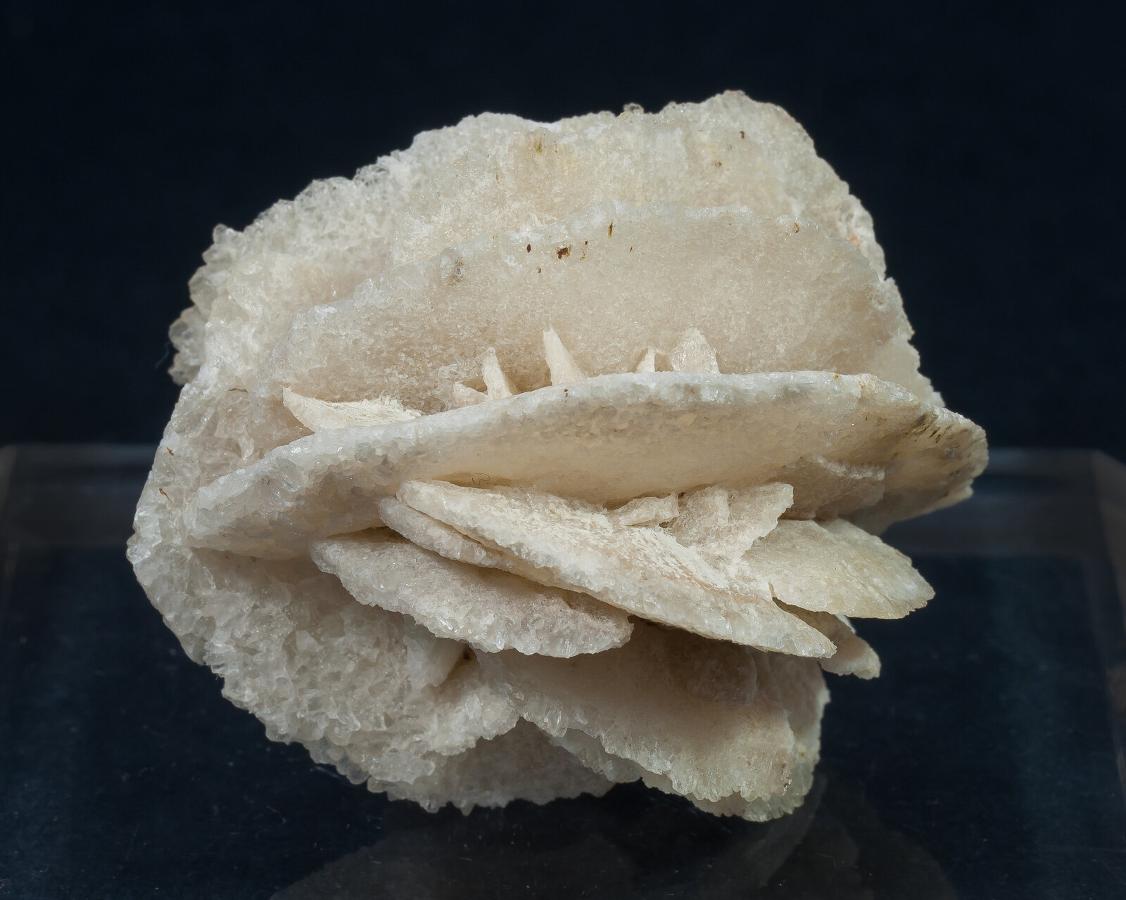 specimens/s_imagesAN2/Calcite-NA10AN2f.jpg