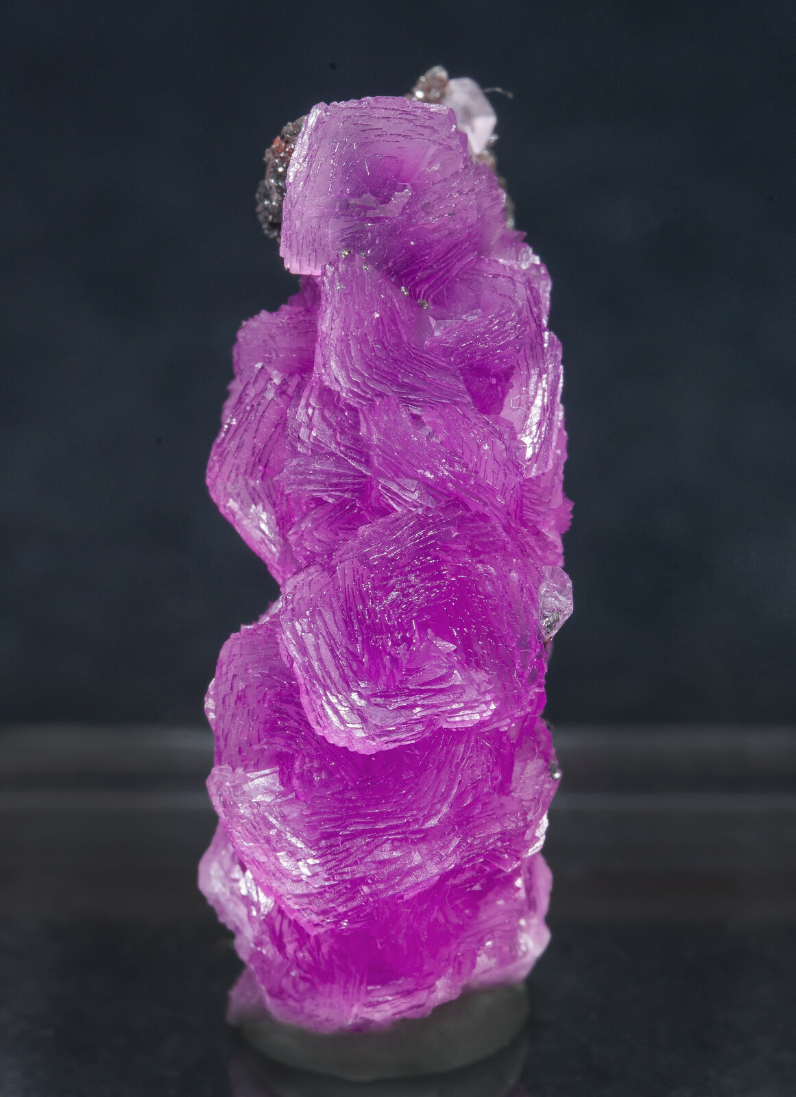 specimens/s_imagesAN2/Calcite_cobaltoan-TR27AN2f.jpg