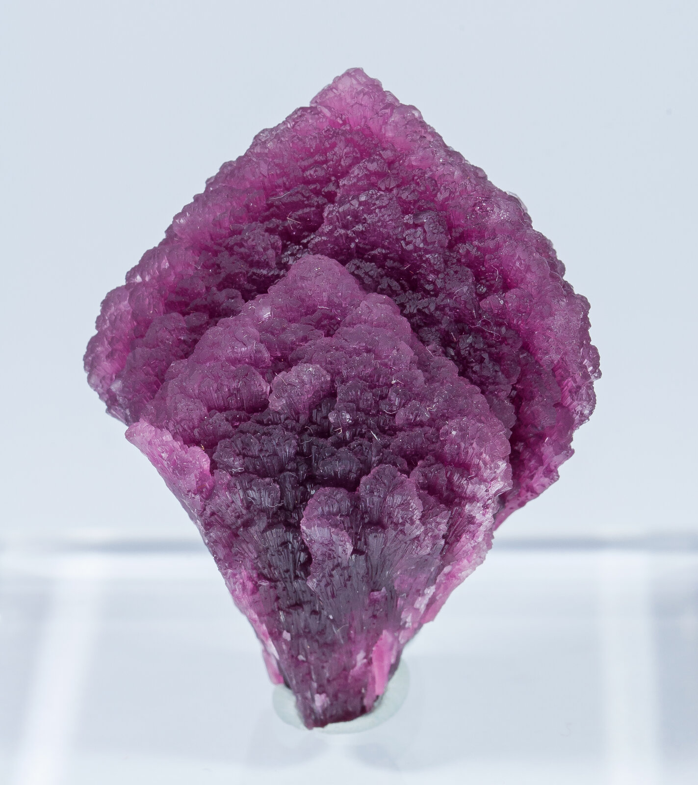 specimens/s_imagesAN2/Elbaite-TA98AN2f.jpg