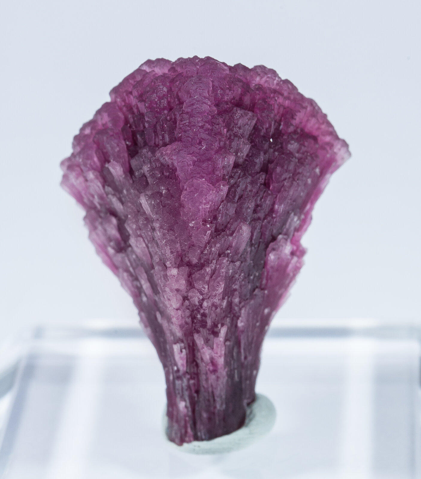 specimens/s_imagesAN2/Elbaite-TC87AN2r.jpg