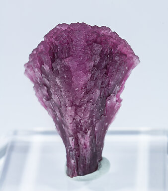 Elbaite-Schorl Series (variety 'mushroom'). Rear