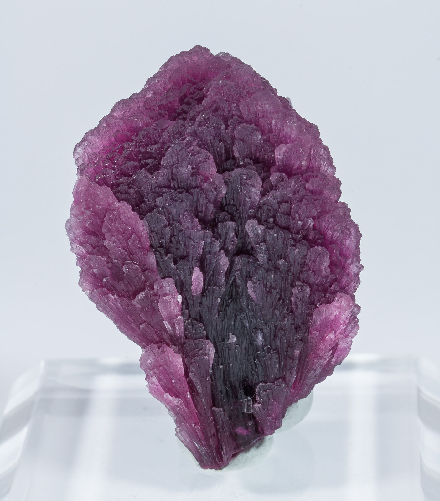 specimens/s_imagesAN2/Elbaite-TE28AN2f.jpg