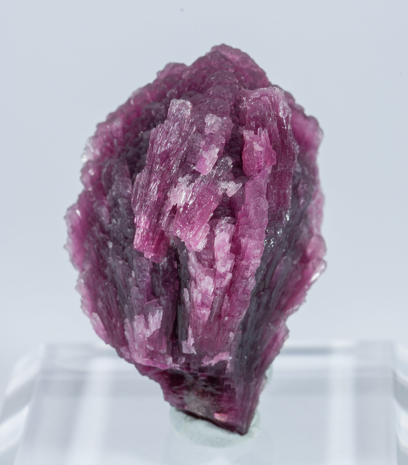 specimens/s_imagesAN2/Elbaite-TE28AN2r.jpg