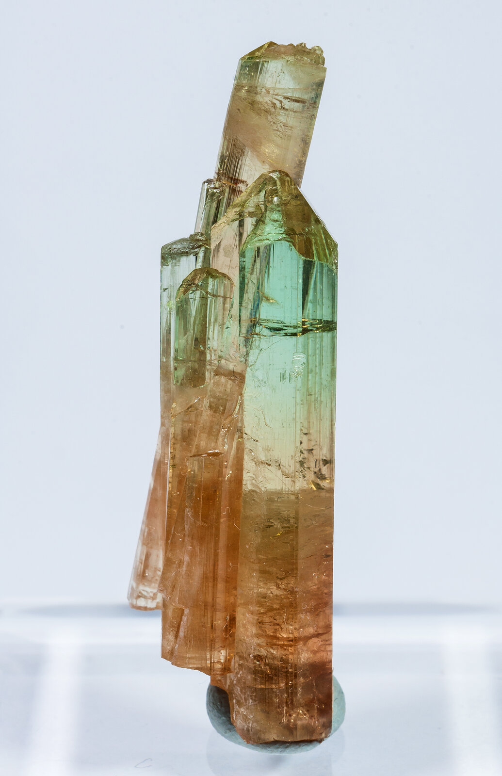 specimens/s_imagesAN2/Elbaite-TF46AN2s.jpg