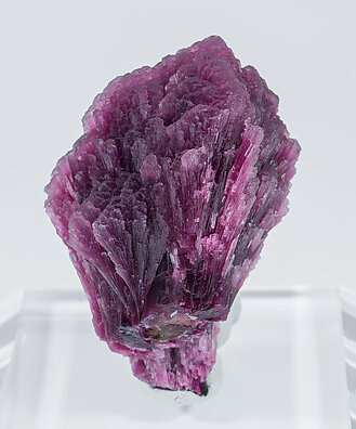 Elbaite-Schorl Series (variety 'mushroom'). Rear