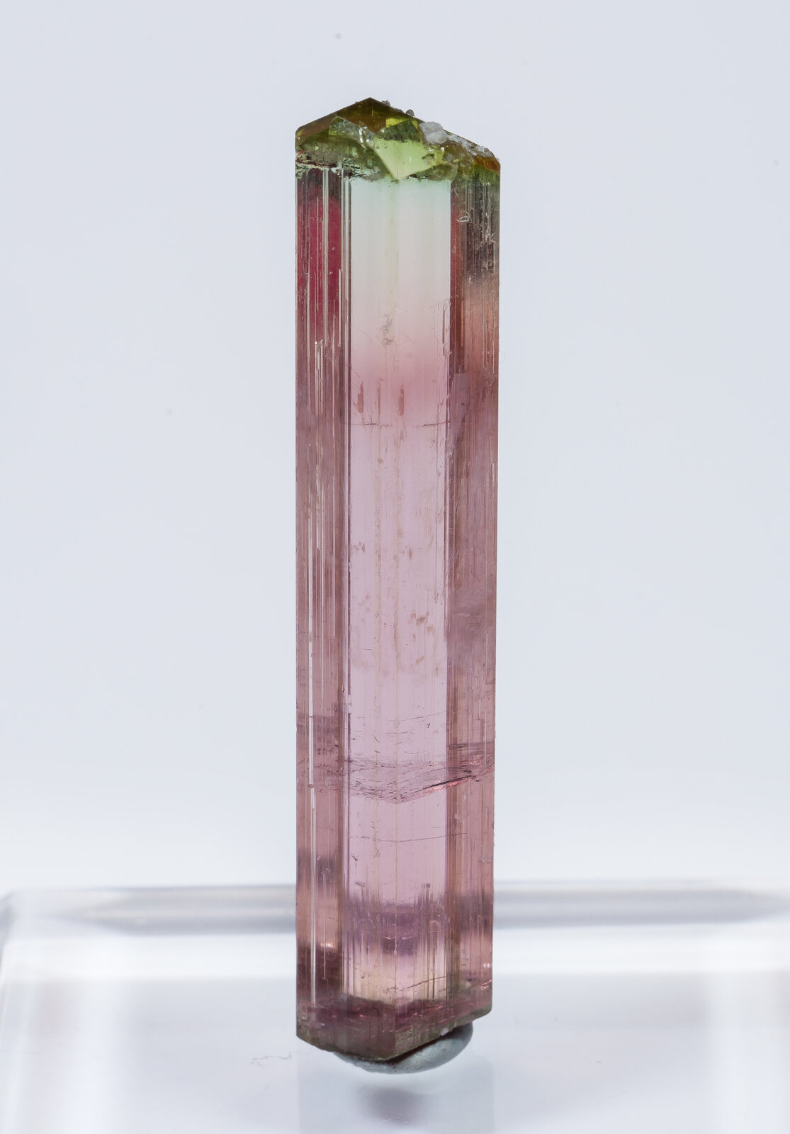 specimens/s_imagesAN2/Elbaite-TF96AN2r.jpg