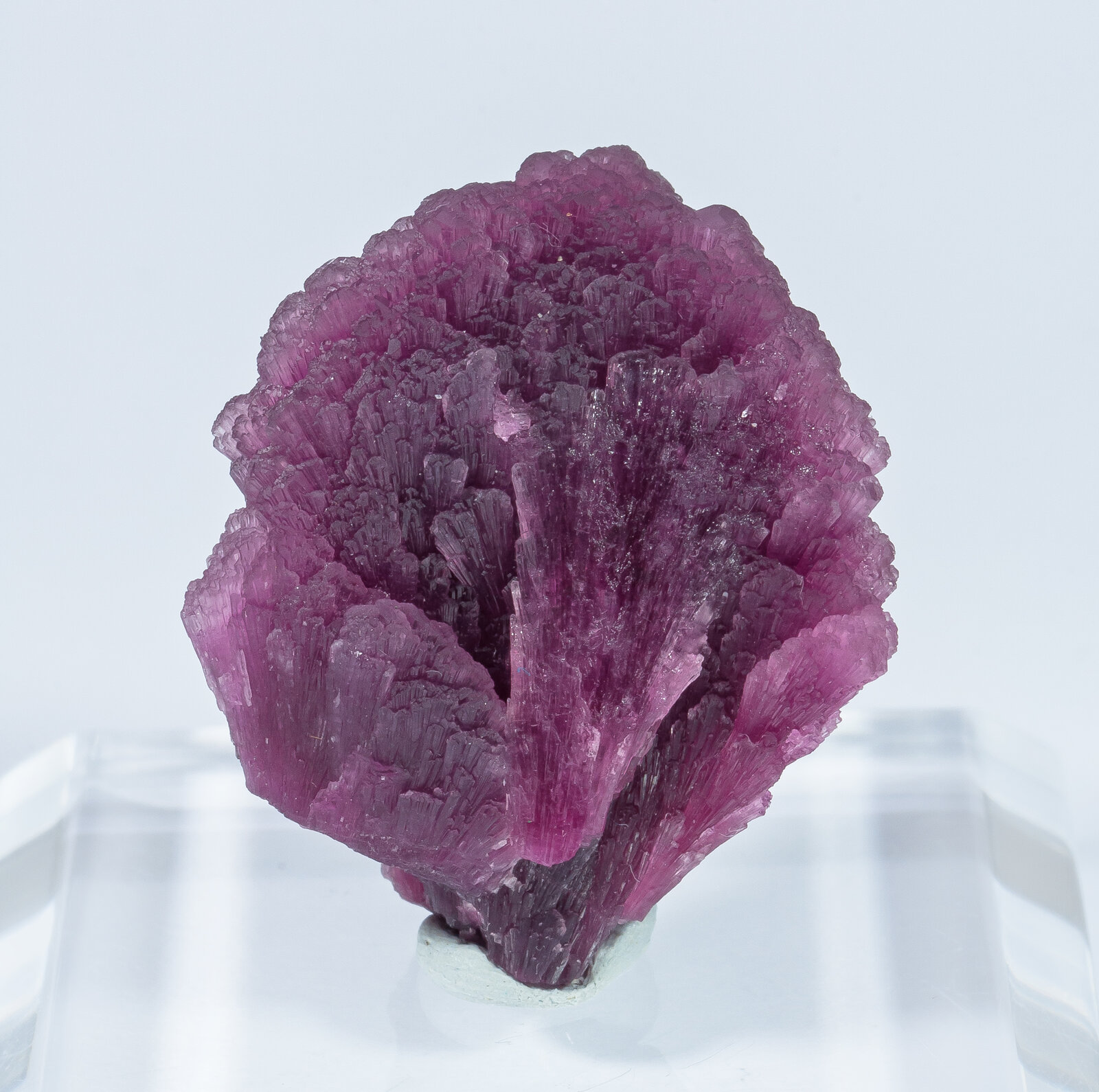 specimens/s_imagesAN2/Elbaite-TG28AN2f.jpg