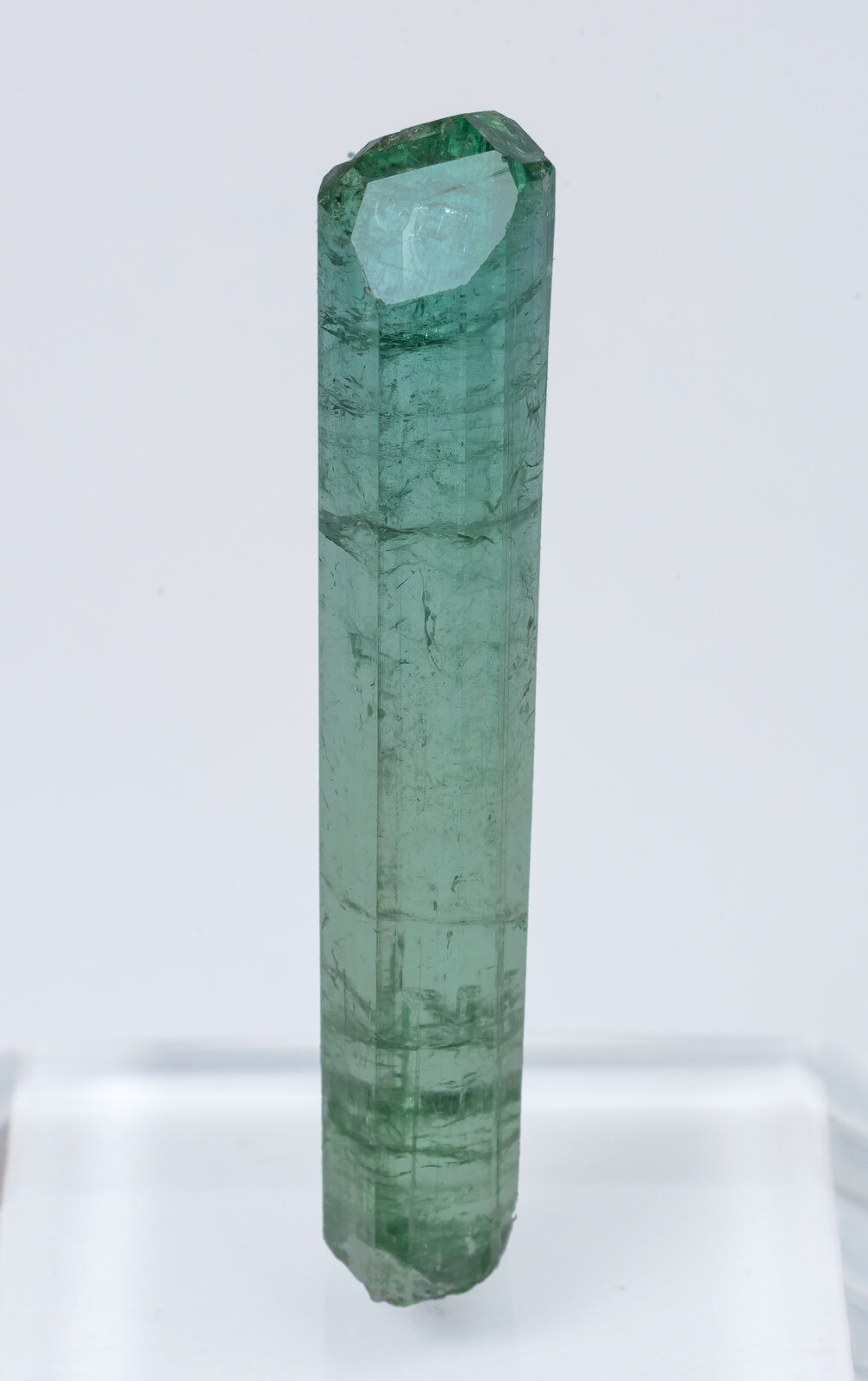 specimens/s_imagesAN2/Elbaite-TG46AN2f.jpg