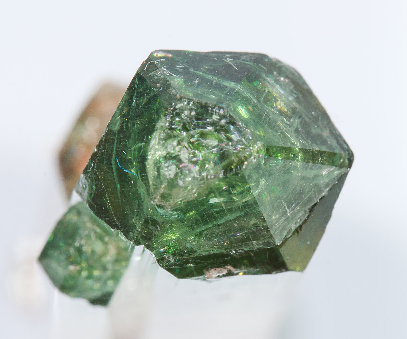 specimens/s_imagesAN2/Elbaite-TG66AN2t.jpg