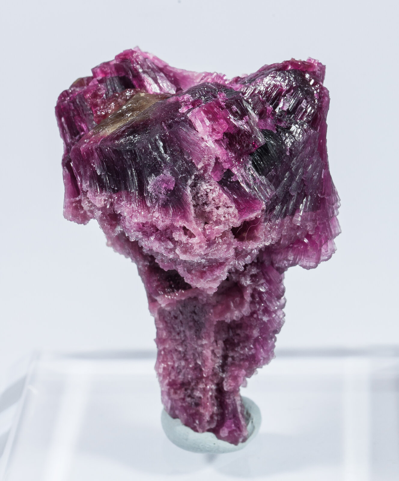 specimens/s_imagesAN2/Elbaite-TH47AN2s.jpg