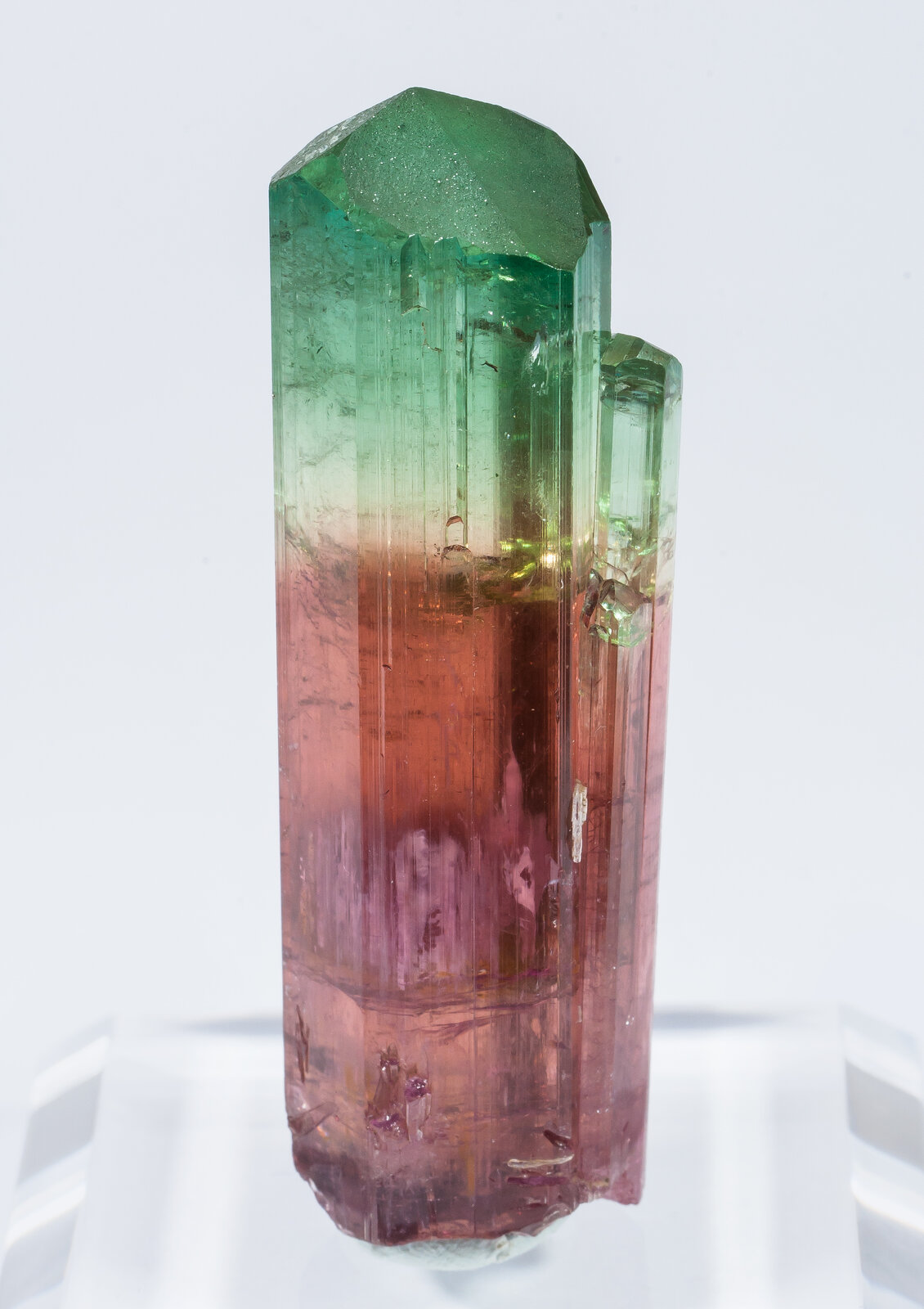 specimens/s_imagesAN2/Elbaite-TJ1AN2r.jpg