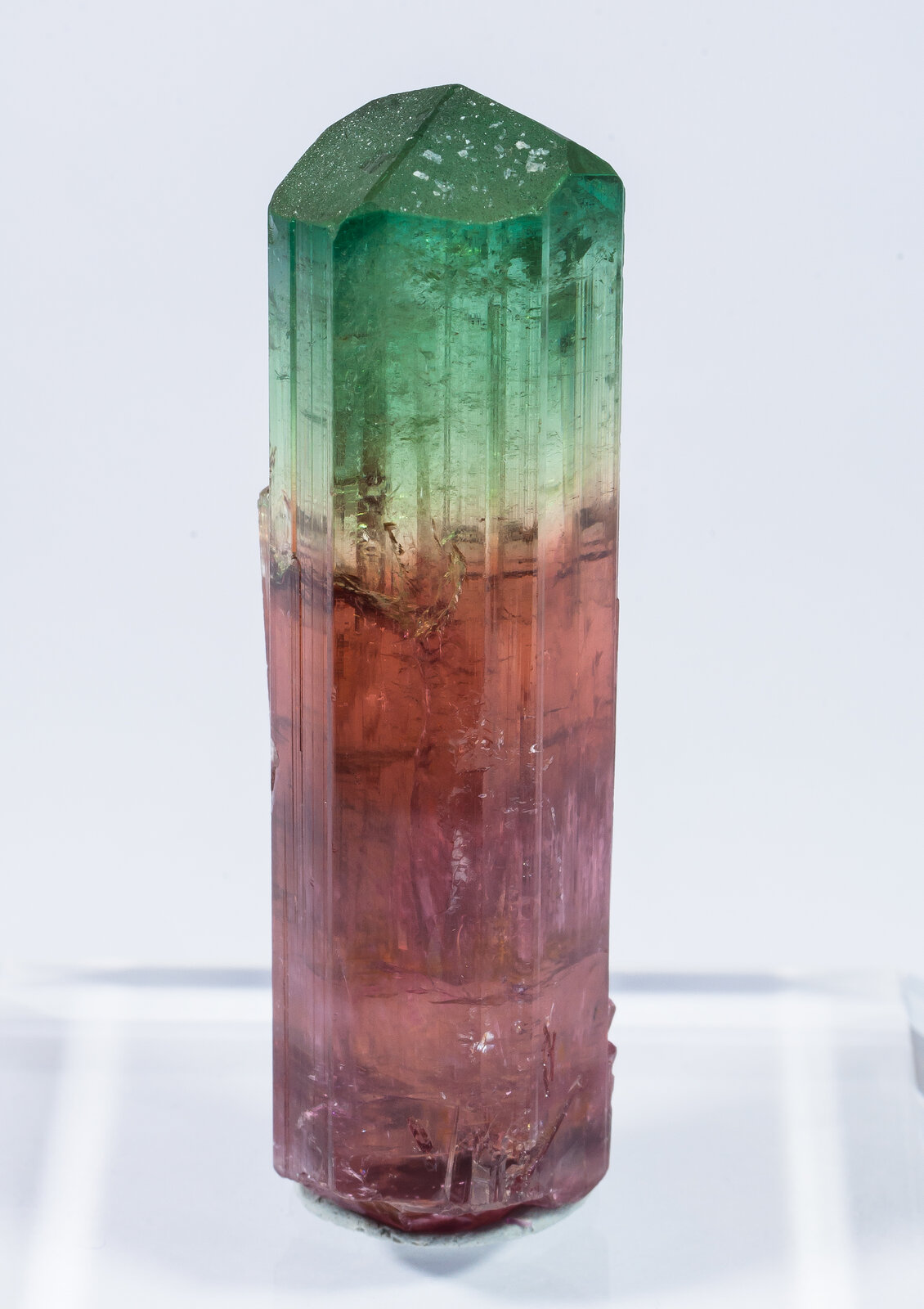 specimens/s_imagesAN2/Elbaite-TJ1AN2s.jpg