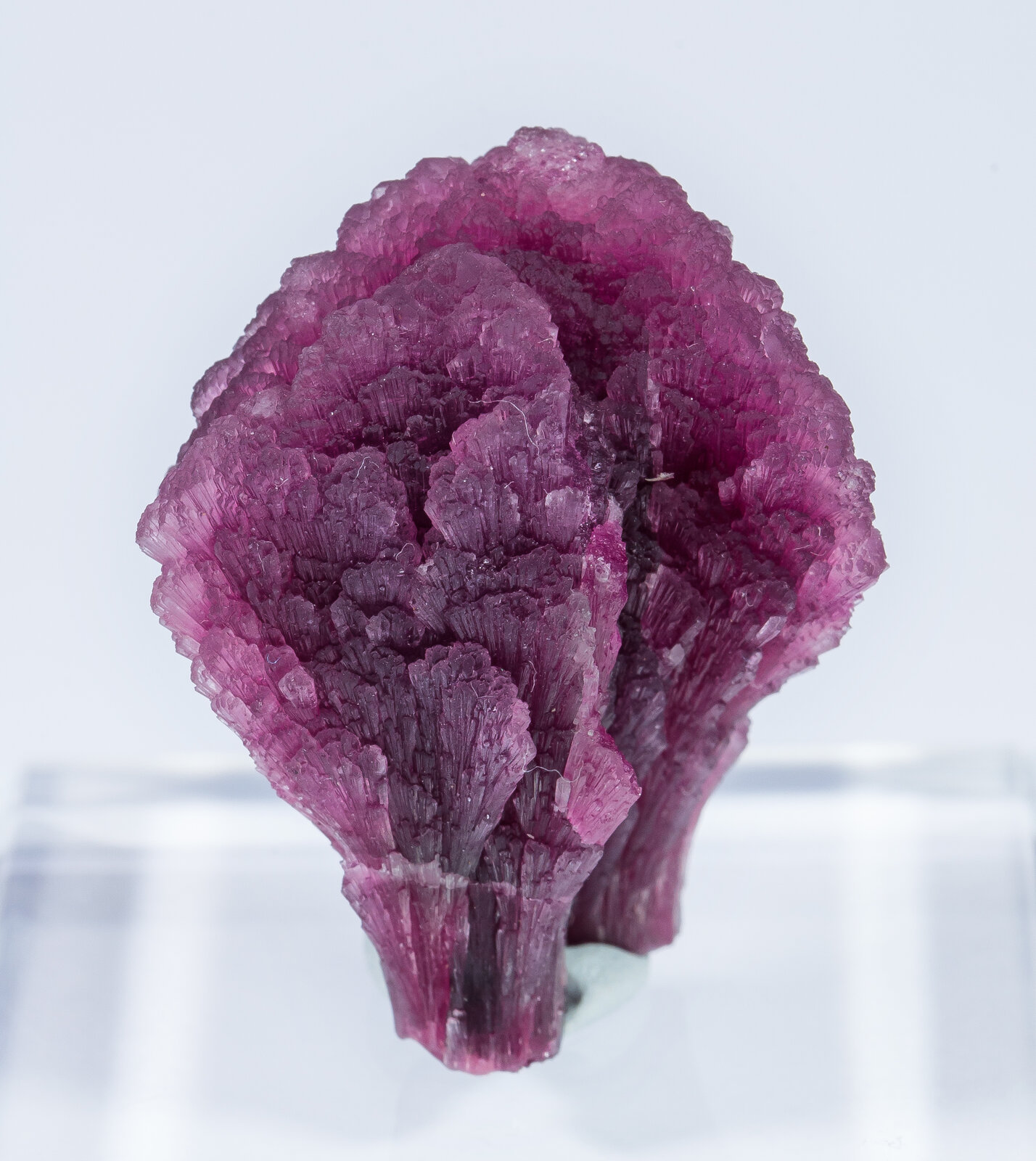 specimens/s_imagesAN2/Elbaite-TK47AN2f.jpg