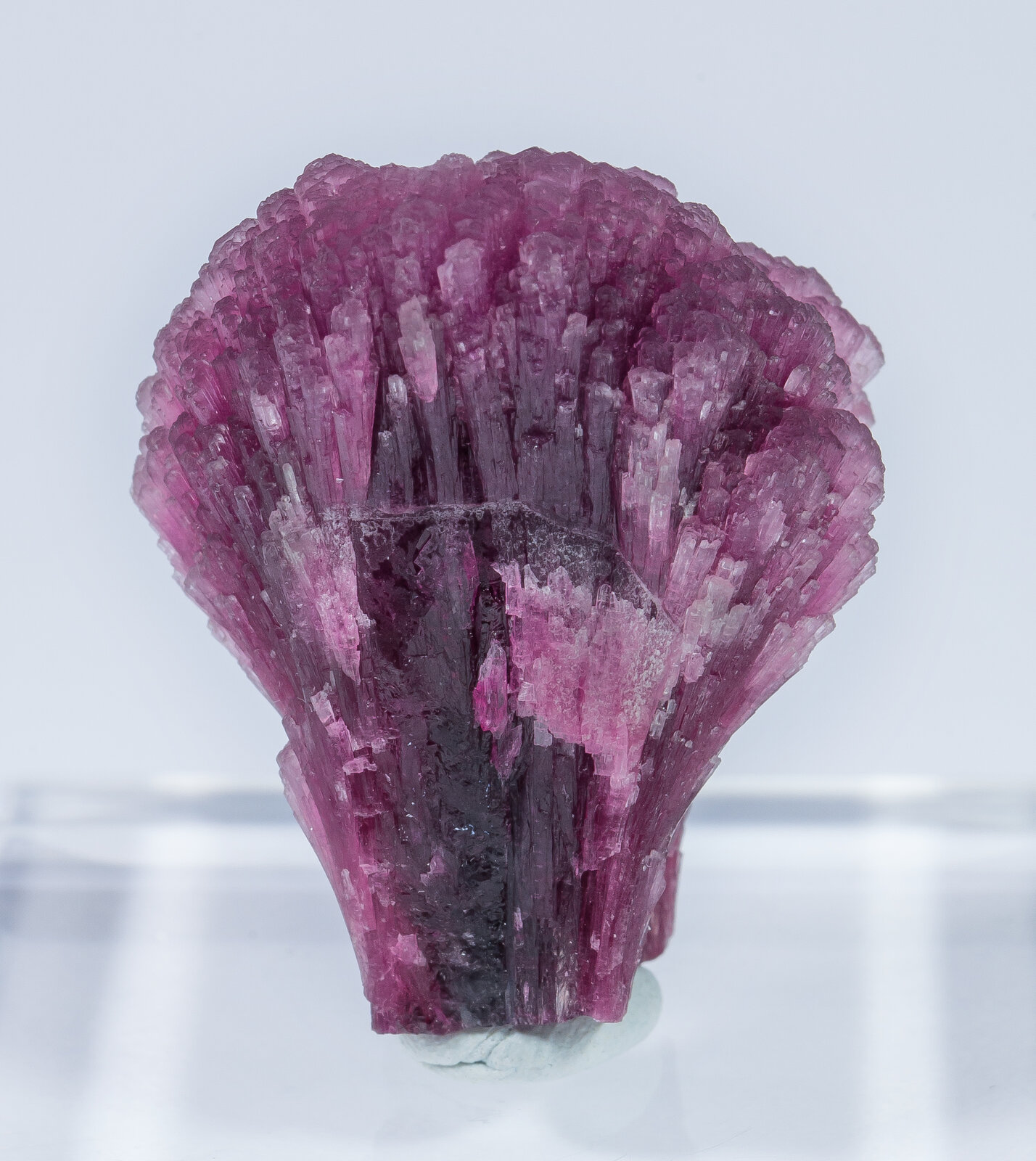 specimens/s_imagesAN2/Elbaite-TK47AN2r.jpg