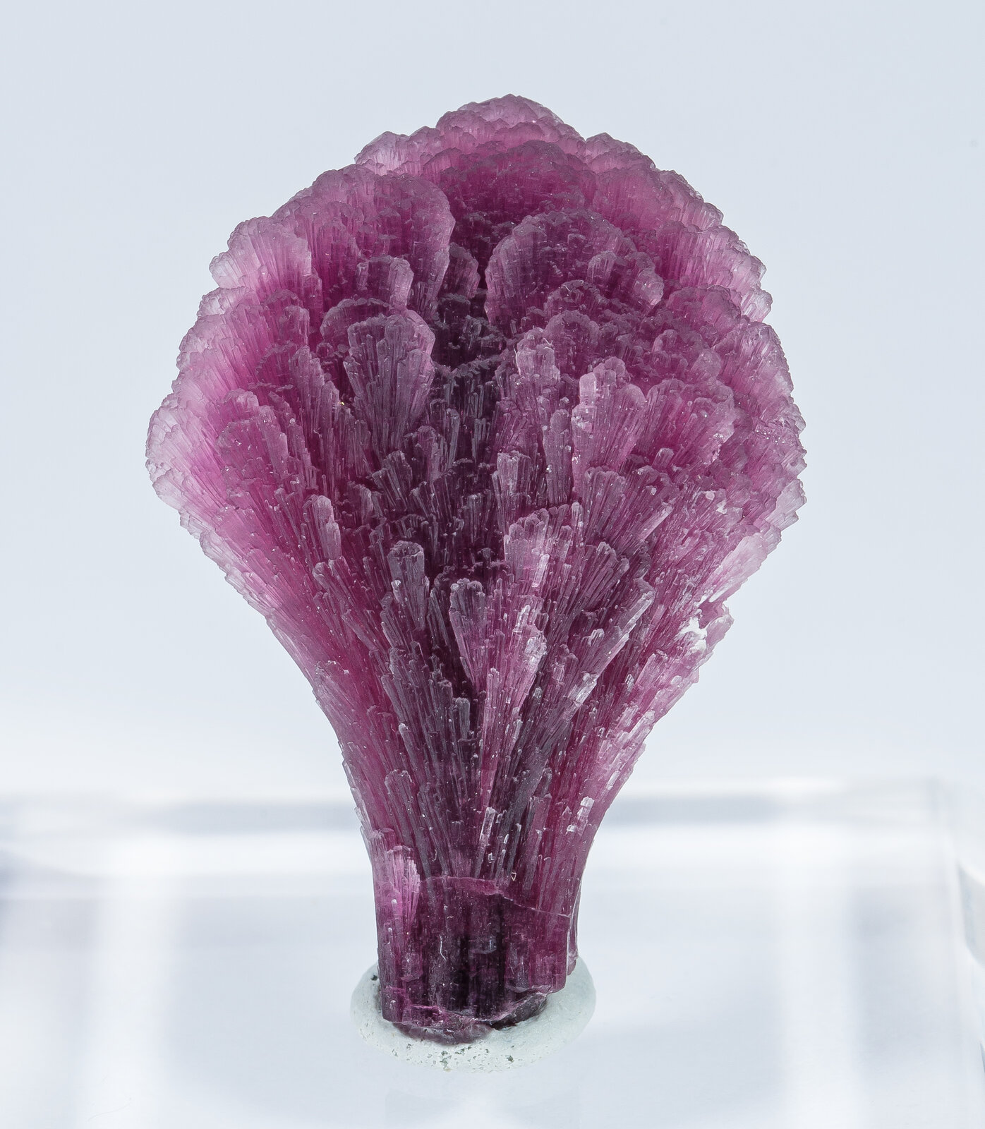 specimens/s_imagesAN2/Elbaite-TN27AN2f1.jpg