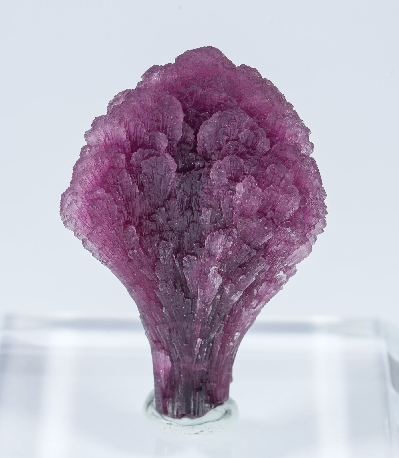 specimens/s_imagesAN2/Elbaite-TN27AN2f2.jpg