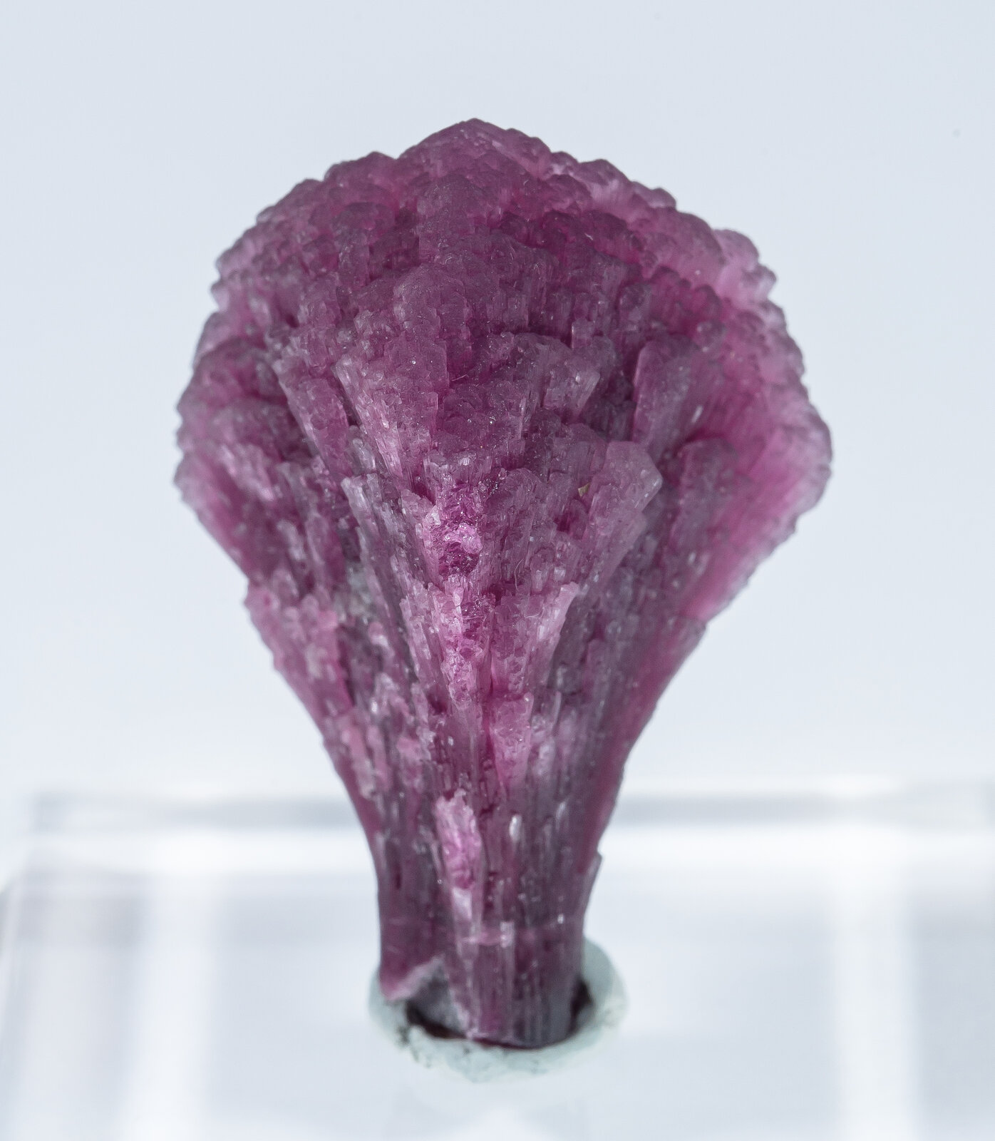 specimens/s_imagesAN2/Elbaite-TN27AN2r.jpg