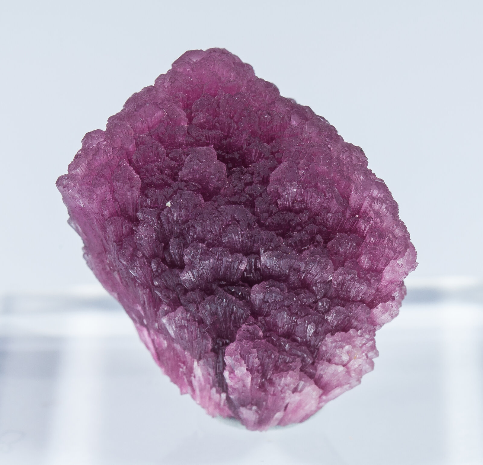 specimens/s_imagesAN2/Elbaite-TP46AN2f.jpg