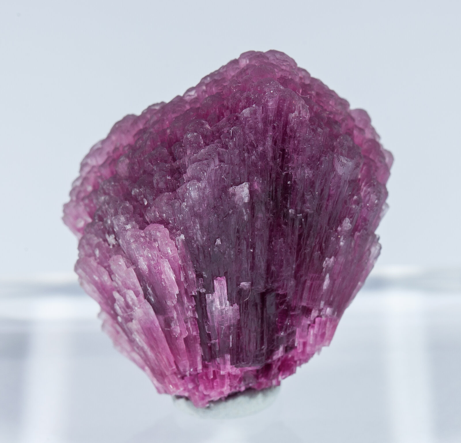 specimens/s_imagesAN2/Elbaite-TP46AN2r.jpg