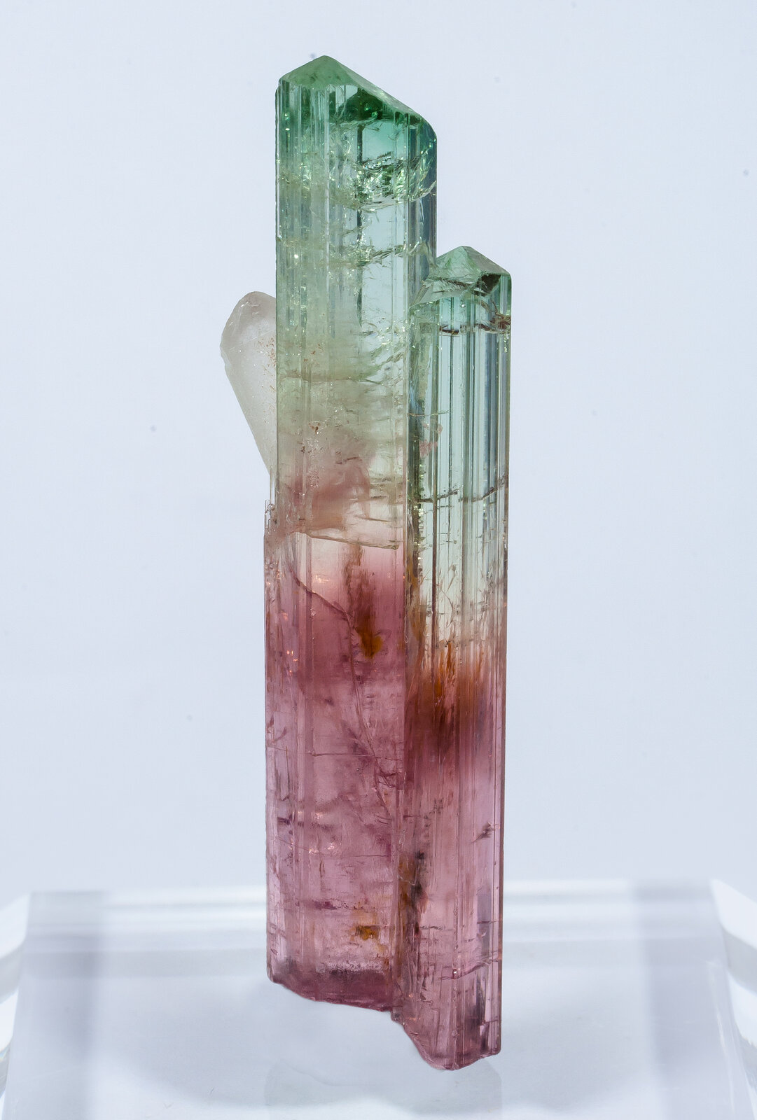 specimens/s_imagesAN2/Elbaite-TVA96AN2r.jpg