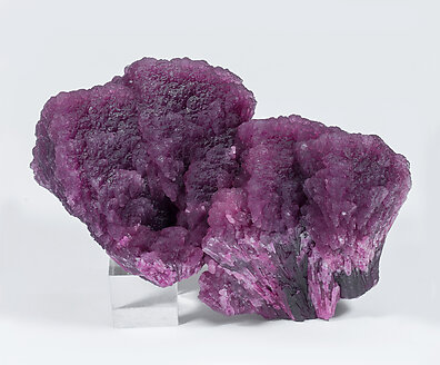 Elbaite-Schorl Series (variety 'mushroom'). Rear