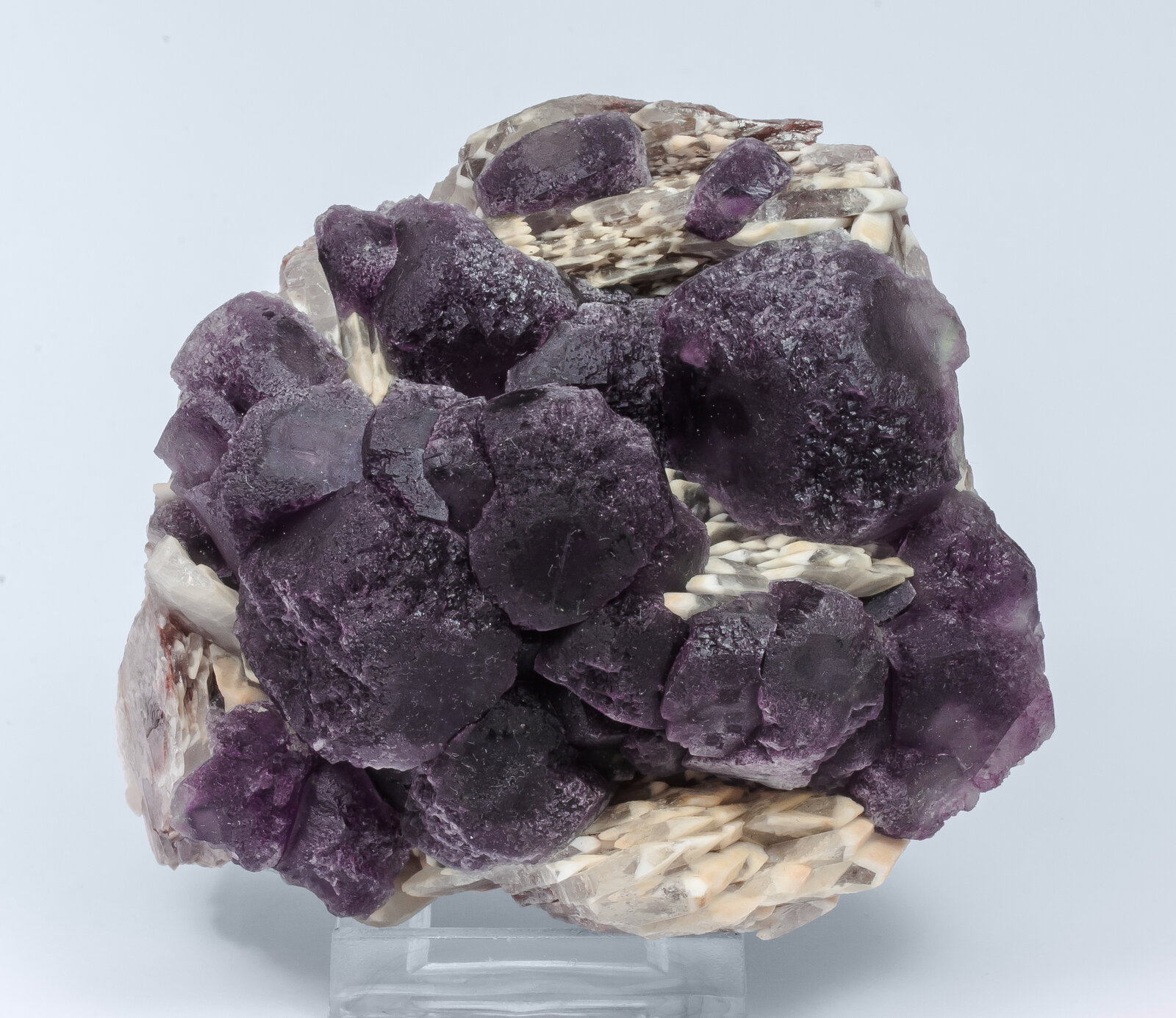 specimens/s_imagesAN2/Fluorite-TJ49AN2f.jpg