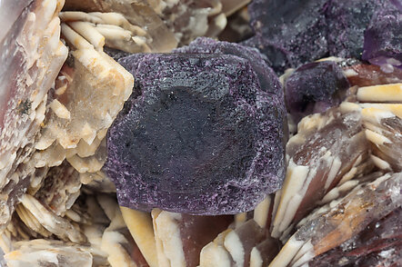 Fluorite with Baryte. 