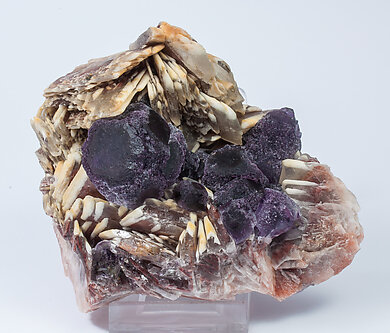 Fluorite with Baryte. Front