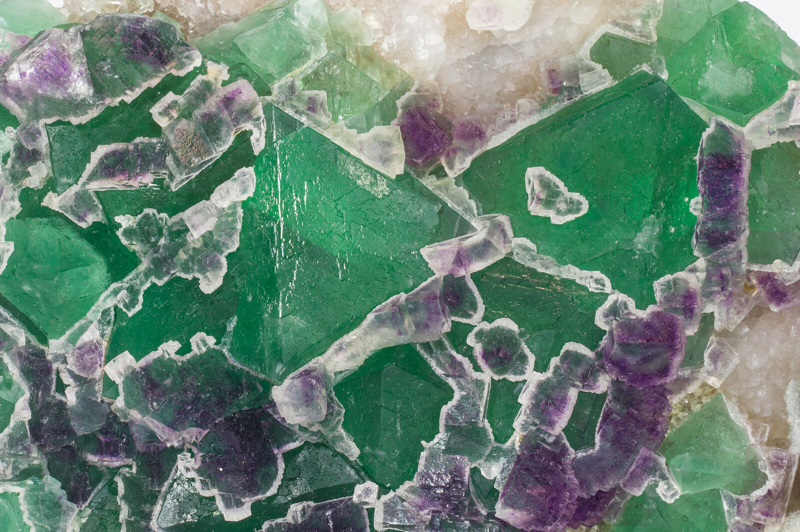 specimens/s_imagesAN2/Fluorite-TX17AN2d.jpg