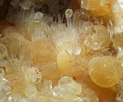 Hydroboracite on Calcite and with Celestine. Detail / Photo: Joaquim Calln