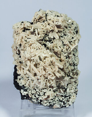 Magnetite (variety Ti-bearing) with Microcline and Quartz. Rear