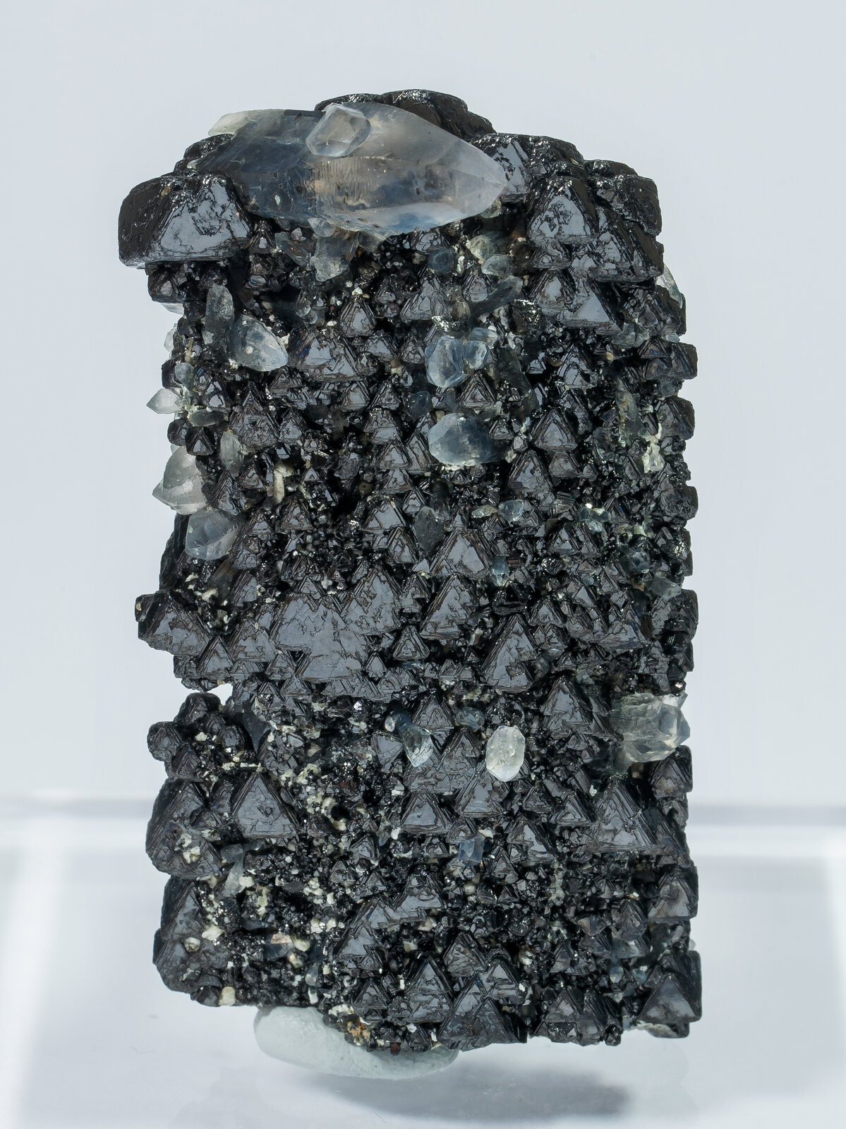 specimens/s_imagesAN2/Magnetite-TD47AN2r.jpg