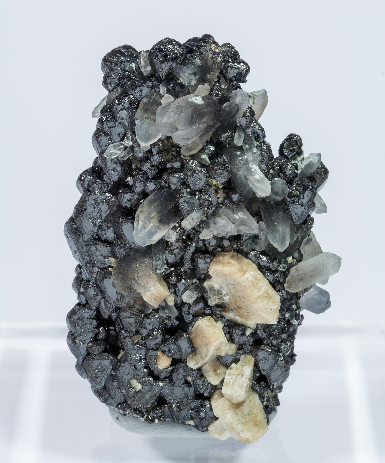 specimens/s_imagesAN2/Magnetite-TJ46AN2r.jpg