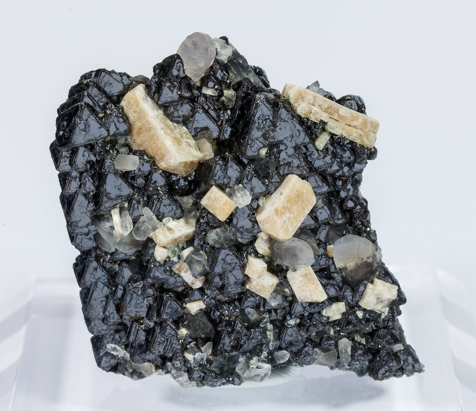 specimens/s_imagesAN2/Magnetite-TV66AN2f.jpg