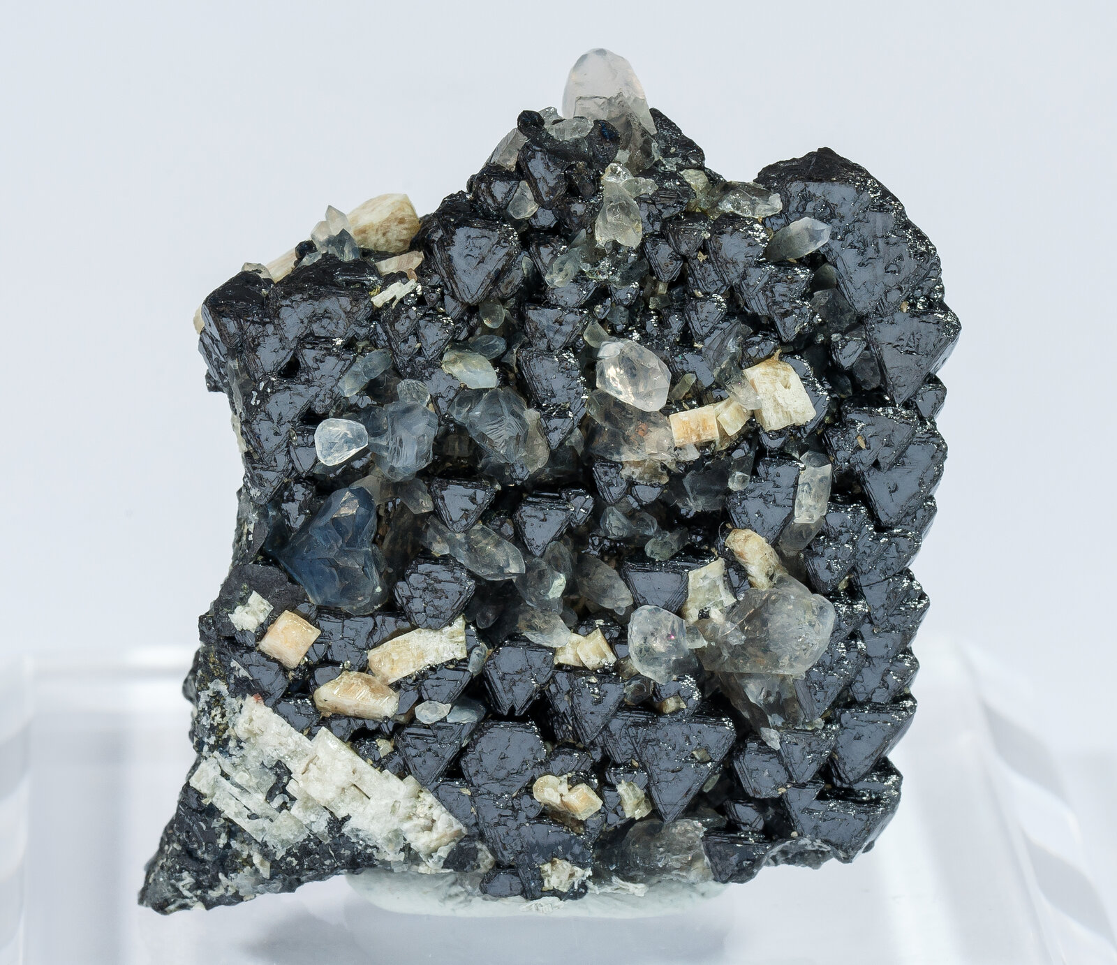 specimens/s_imagesAN2/Magnetite-TV66AN2r.jpg