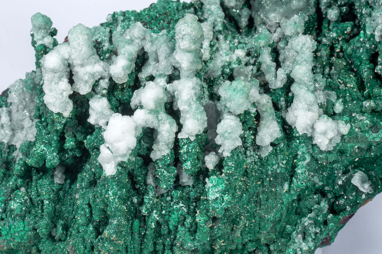 specimens/s_imagesAN2/Malachite-TA68AN2d.jpg